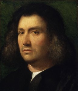 Retrato de un Hombre, 1506